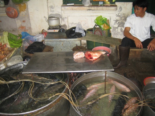 Hanoi Vietnam - City Walk